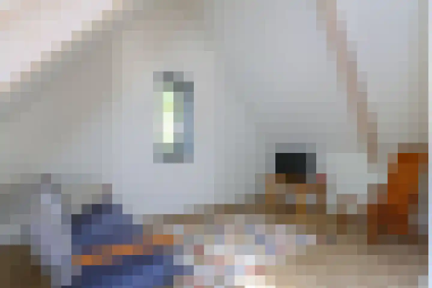 Esscheweg 266 Vught thumbnail 22