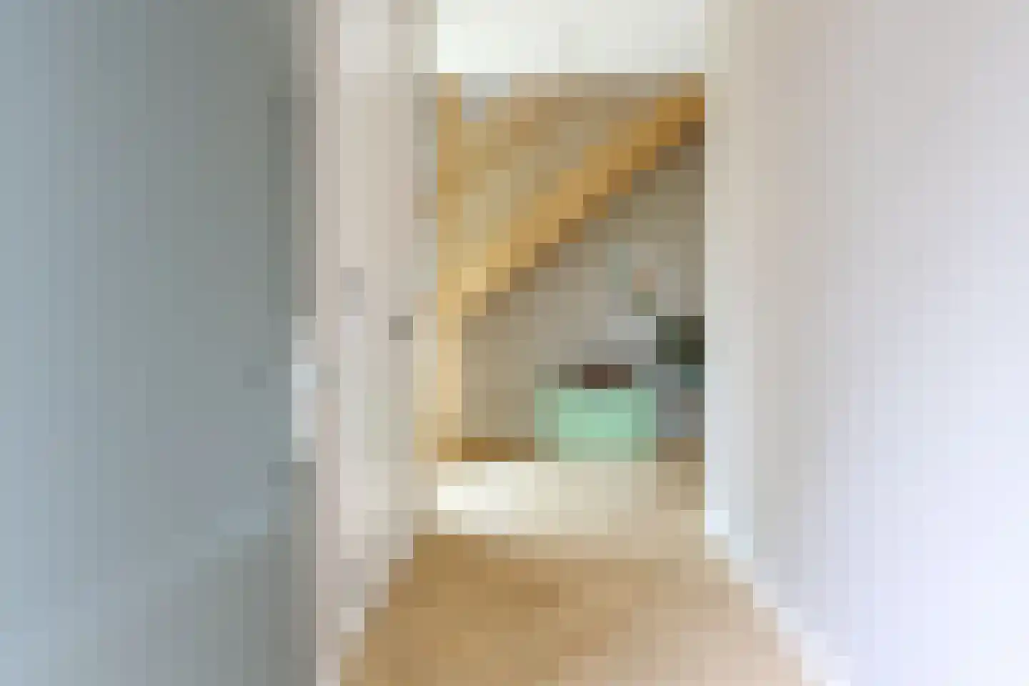 Esscheweg 266 Vught thumbnail 4