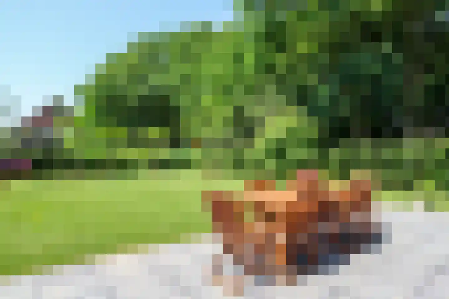Esscheweg 266 Vught thumbnail 4