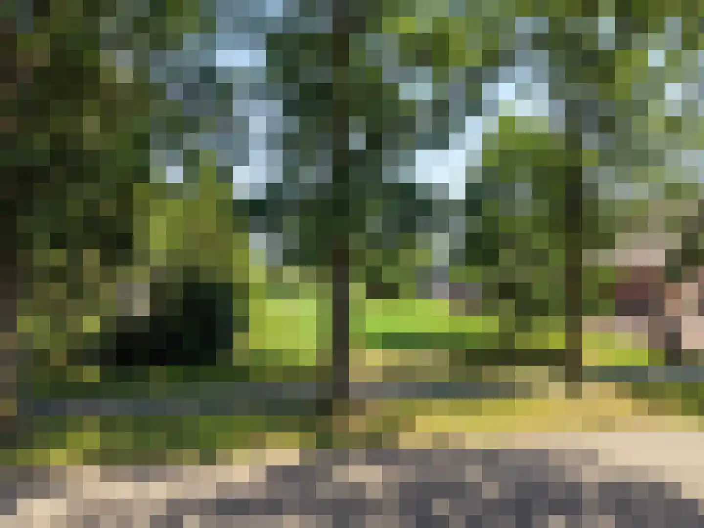 Esscheweg 266 Vught thumbnail 5