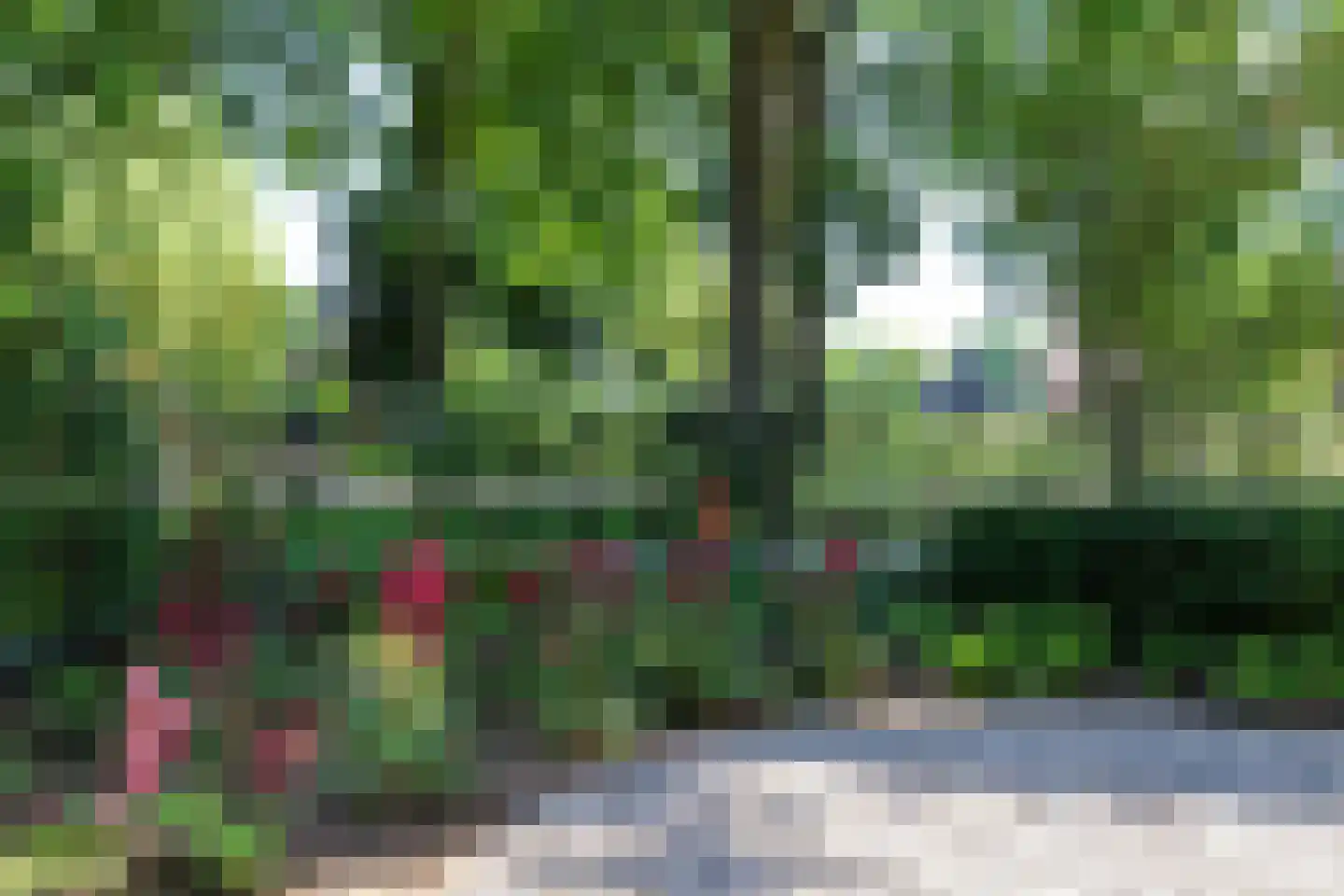 Esscheweg 266 Vught thumbnail 6