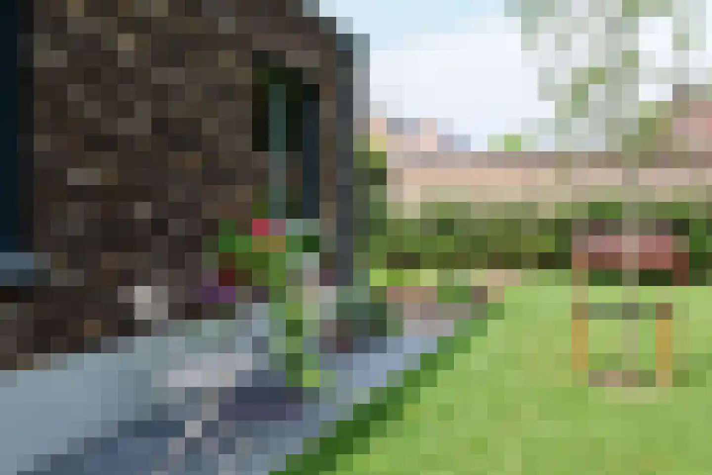 Esscheweg 266 Vught thumbnail 7