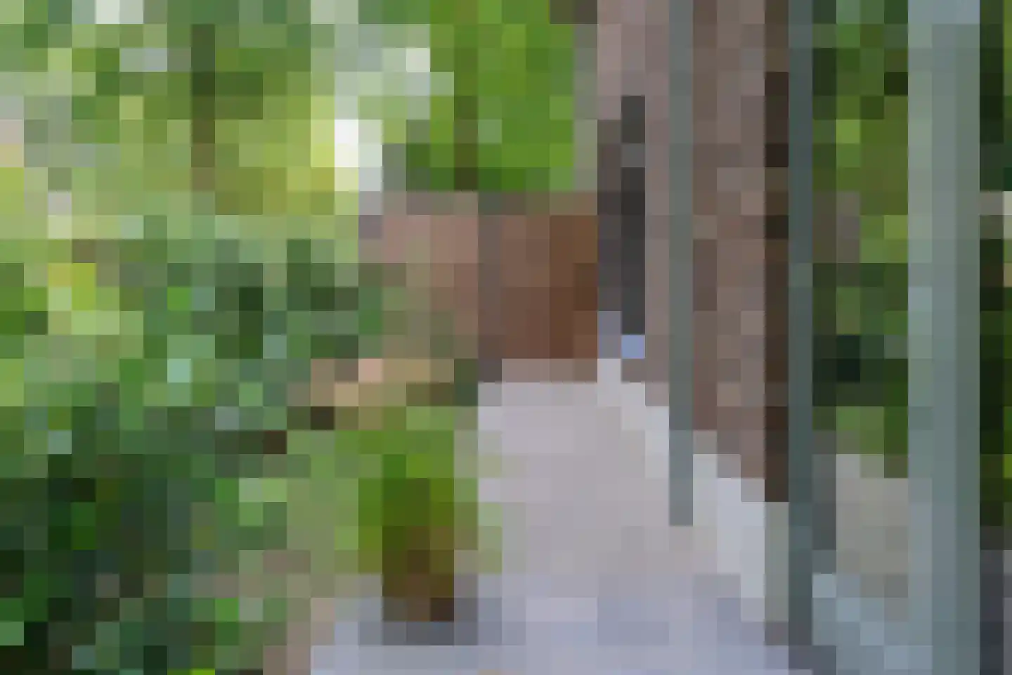 Esscheweg 266 Vught thumbnail 8