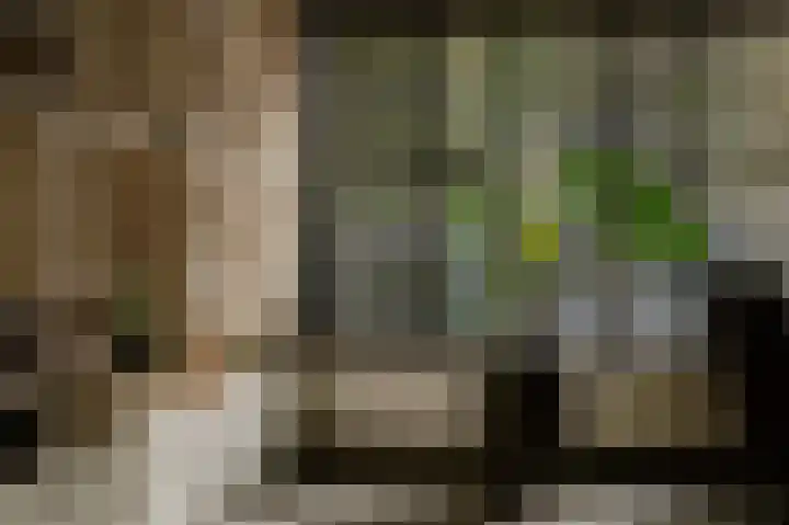 Esscheweg 34 Vught thumbnail 9