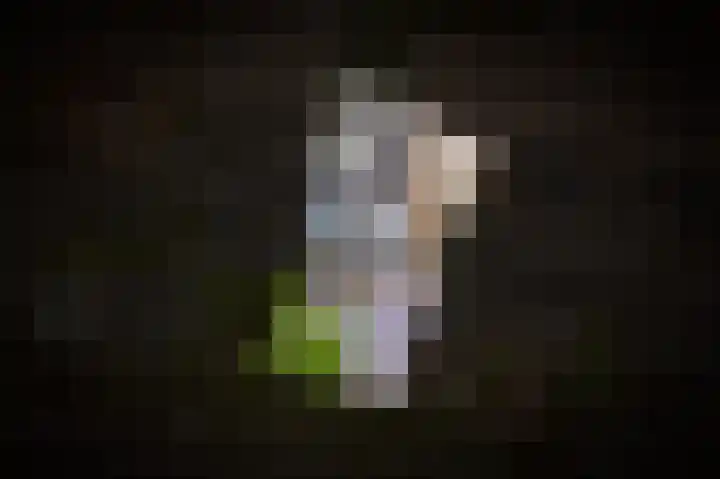 Esscheweg 34 Vught thumbnail 39