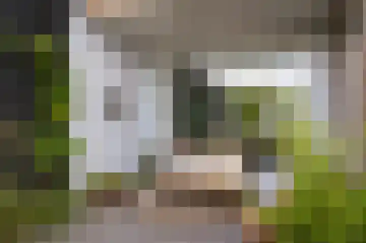 Esscheweg 34 Vught thumbnail 41