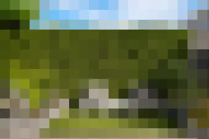 Esscheweg 34 Vught thumbnail 45
