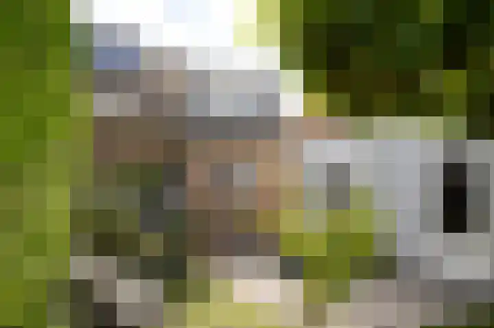 Esscheweg 34 Vught thumbnail 46