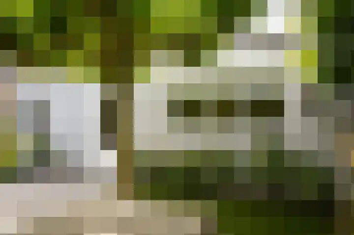 Esscheweg 34 Vught thumbnail 48