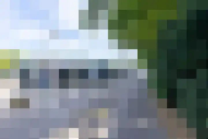 Esscheweg 44 Sint-Michielsgestel thumbnail 40
