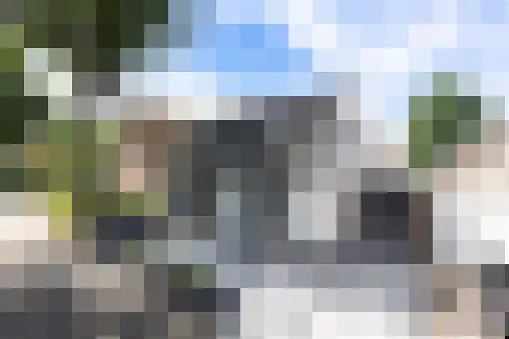 Esscheweg 44 Sint-Michielsgestel thumbnail 46