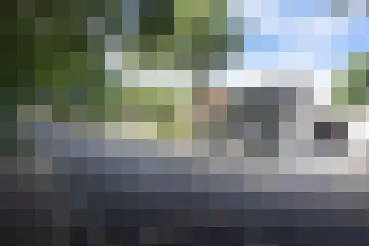 Esscheweg 44 Sint-Michielsgestel thumbnail 5