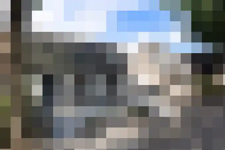 Esscheweg 44 Sint-Michielsgestel thumbnail 7