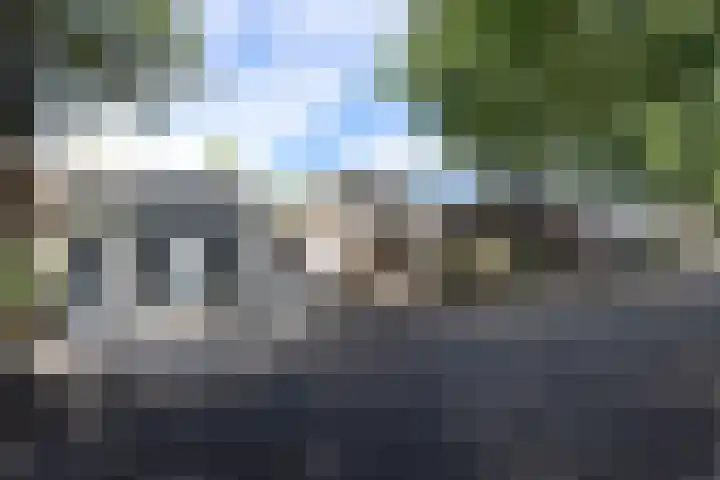 Esscheweg 44 Sint-Michielsgestel thumbnail 8