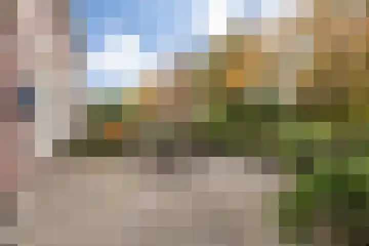Esscheweg 67 Vught thumbnail 10