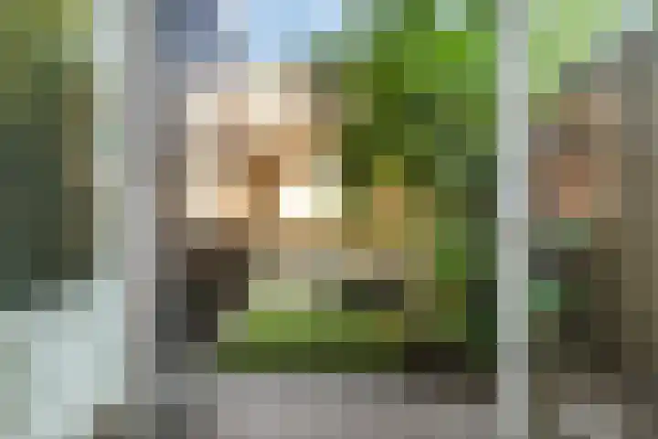 Esschilderstraat 10 ZW Haarlem thumbnail 11