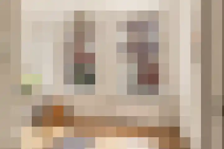 Esschilderstraat 10 ZW Haarlem thumbnail 21