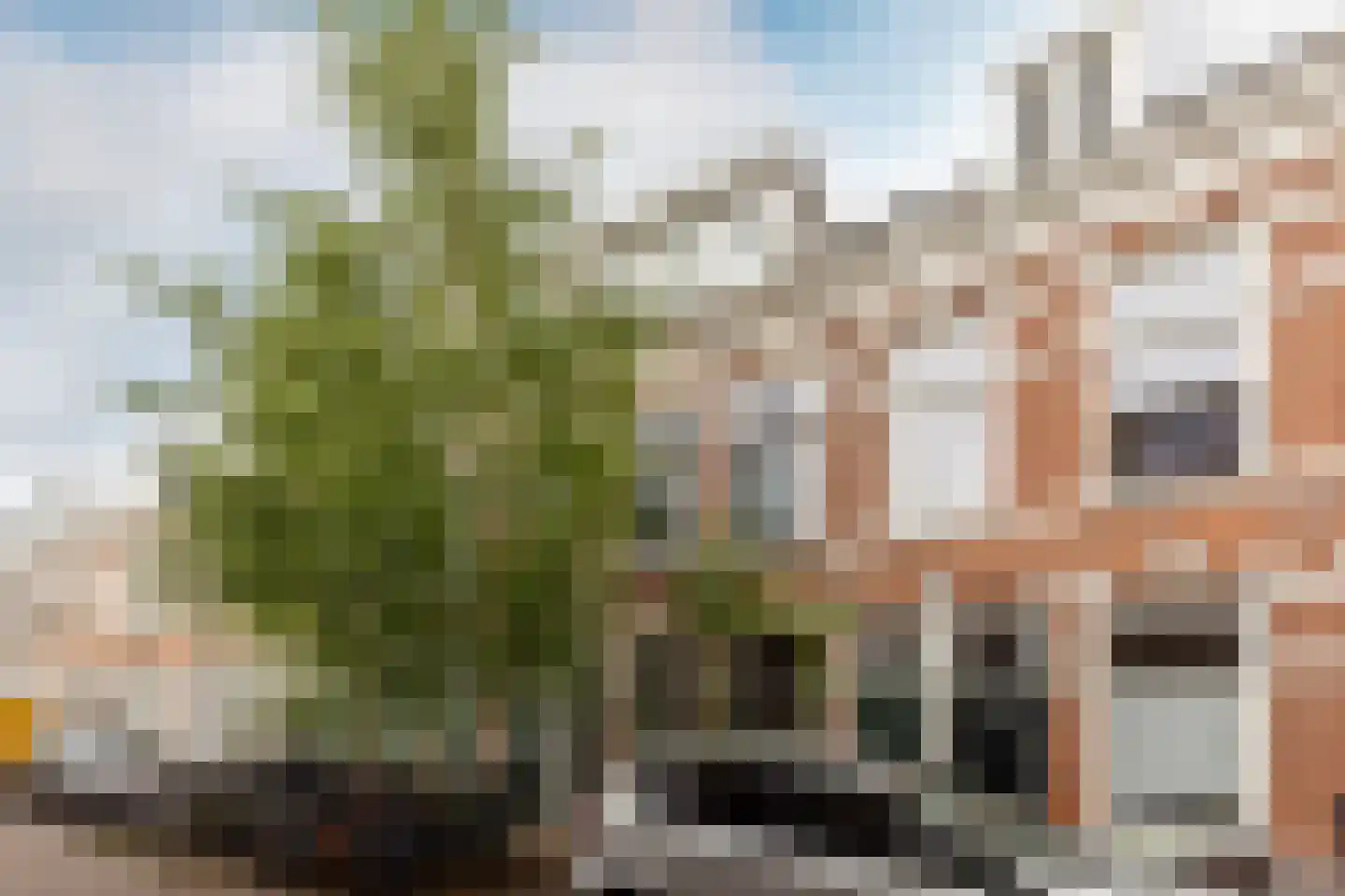 Esschilderstraat 12 ZW in Haarlem