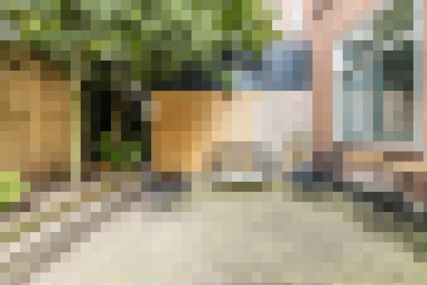 Esschilderstraat 12 ZW Haarlem thumbnail 20