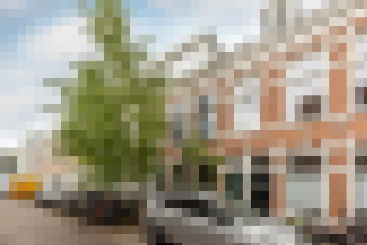 Esschilderstraat 12 ZW Haarlem thumbnail 23