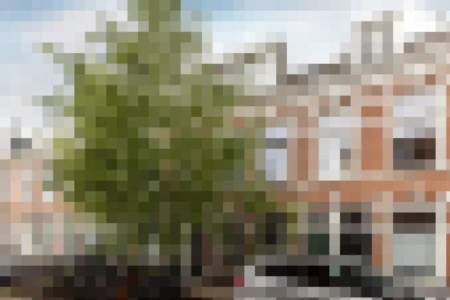 Esschilderstraat 12 ZW Haarlem thumbnail 24