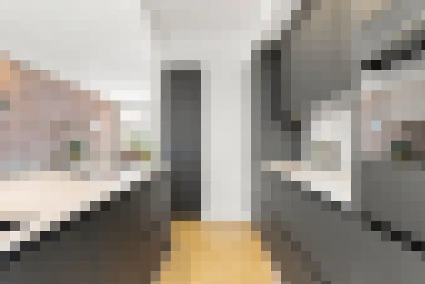 Esschilderstraat 22 Haarlem thumbnail 16