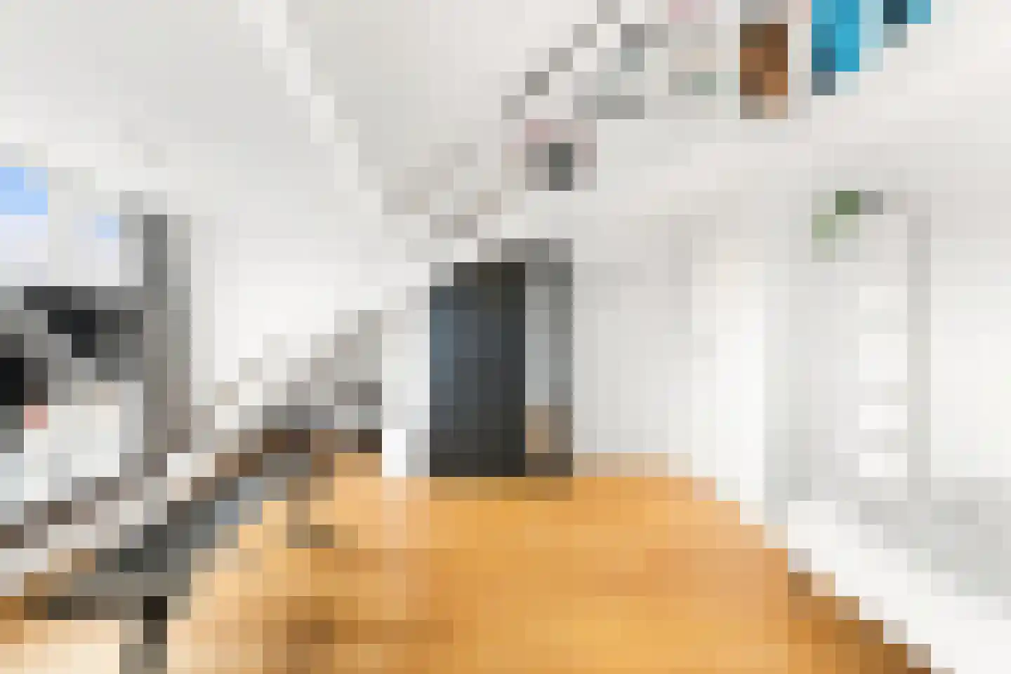 Esschilderstraat 22 Haarlem thumbnail 28
