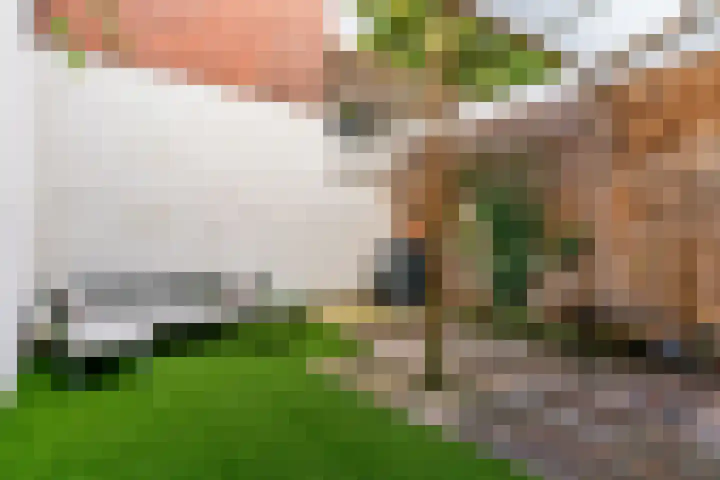Esschilderstraat 22 Haarlem thumbnail 36