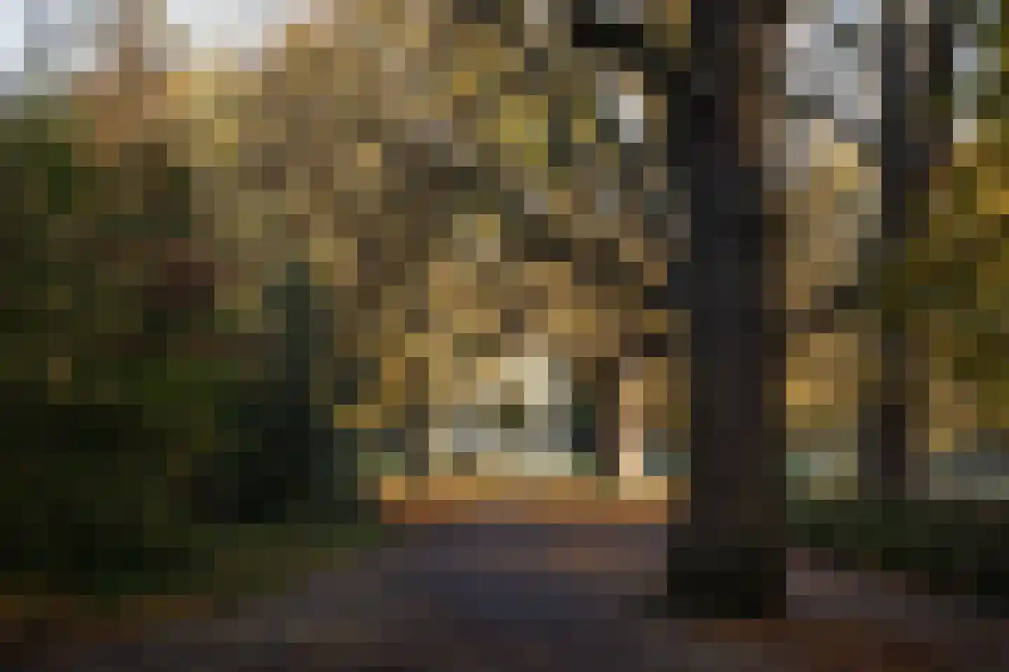 Esschilderstraat 22 Haarlem thumbnail 50