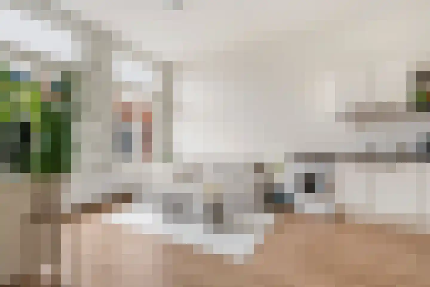 Esschilderstraat 26 Haarlem thumbnail 5