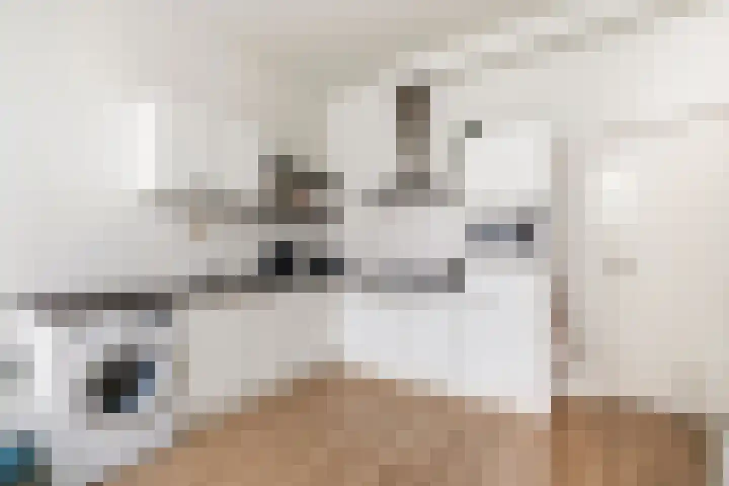 Esschilderstraat 26 Haarlem thumbnail 8