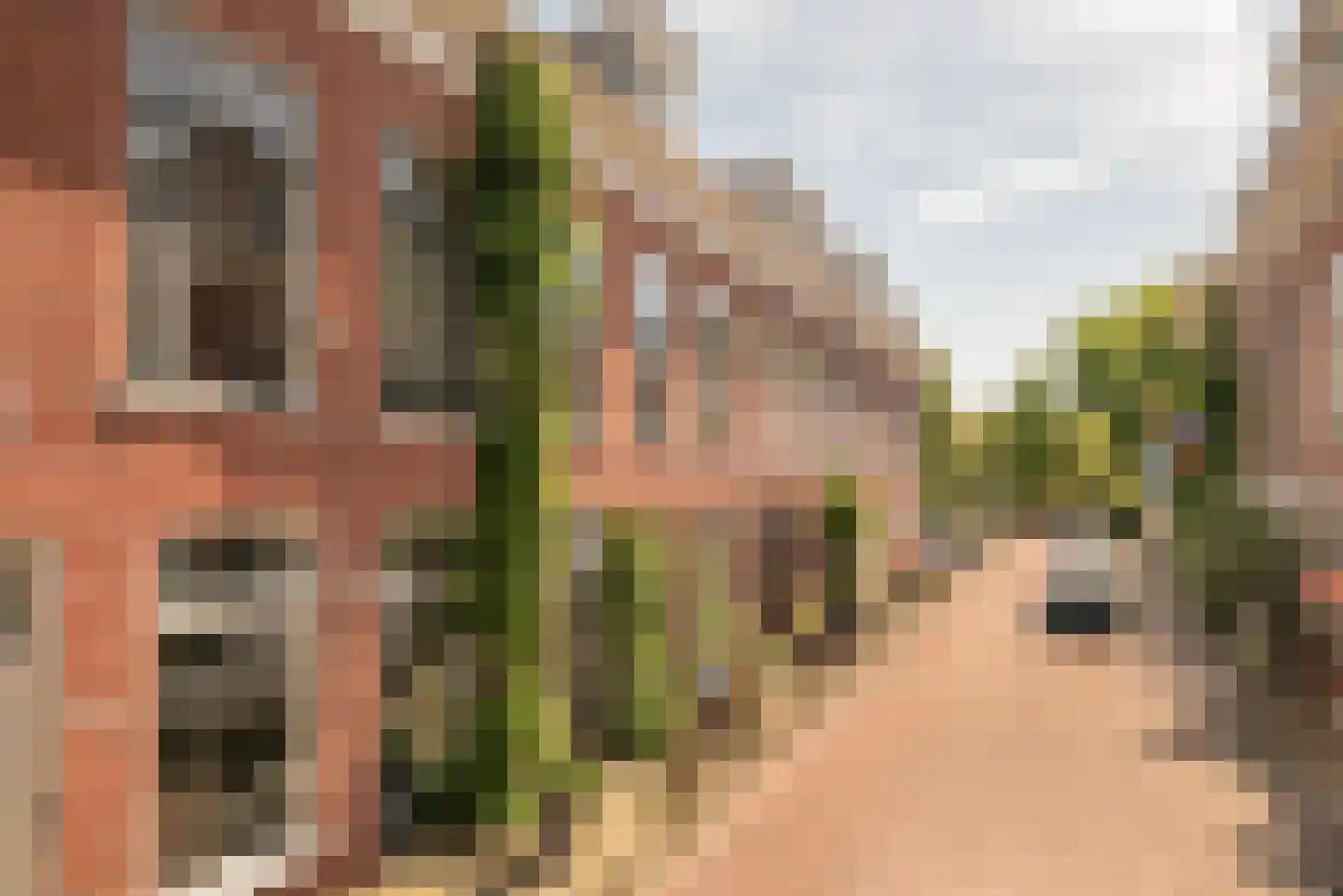 Esschilderstraat 35 RD Haarlem thumbnail 30