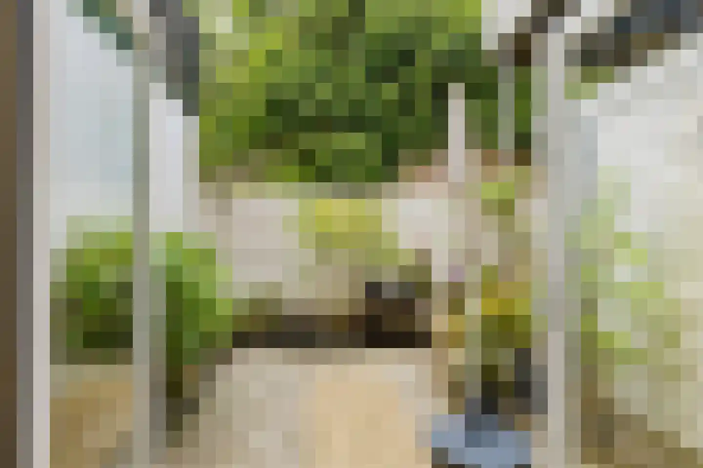 Esschilderstraat 36 ZW Haarlem thumbnail 12