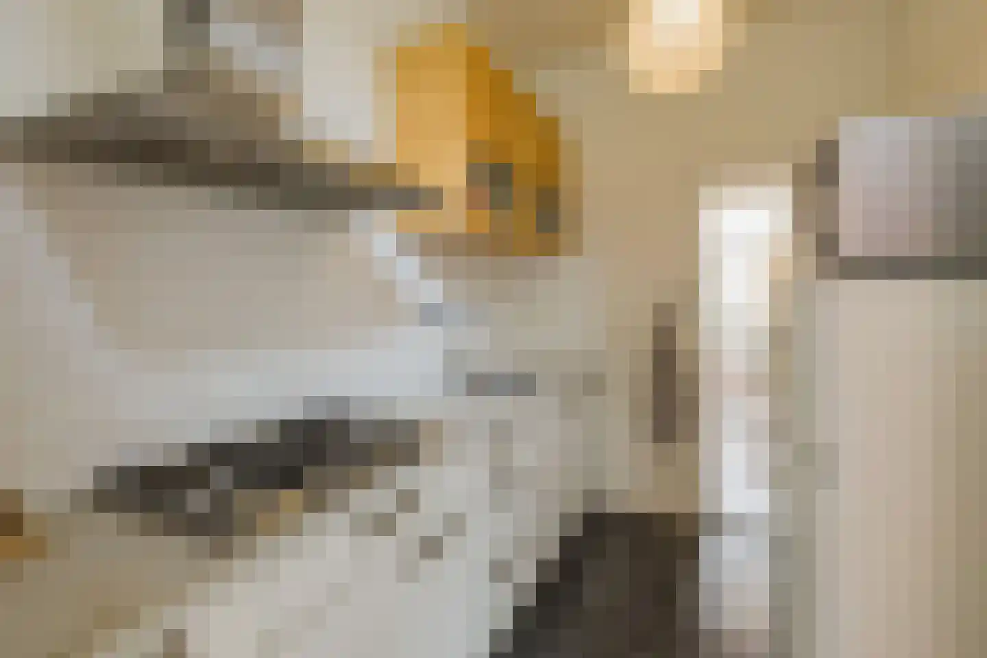 Esschilderstraat 36 ZW Haarlem thumbnail 16