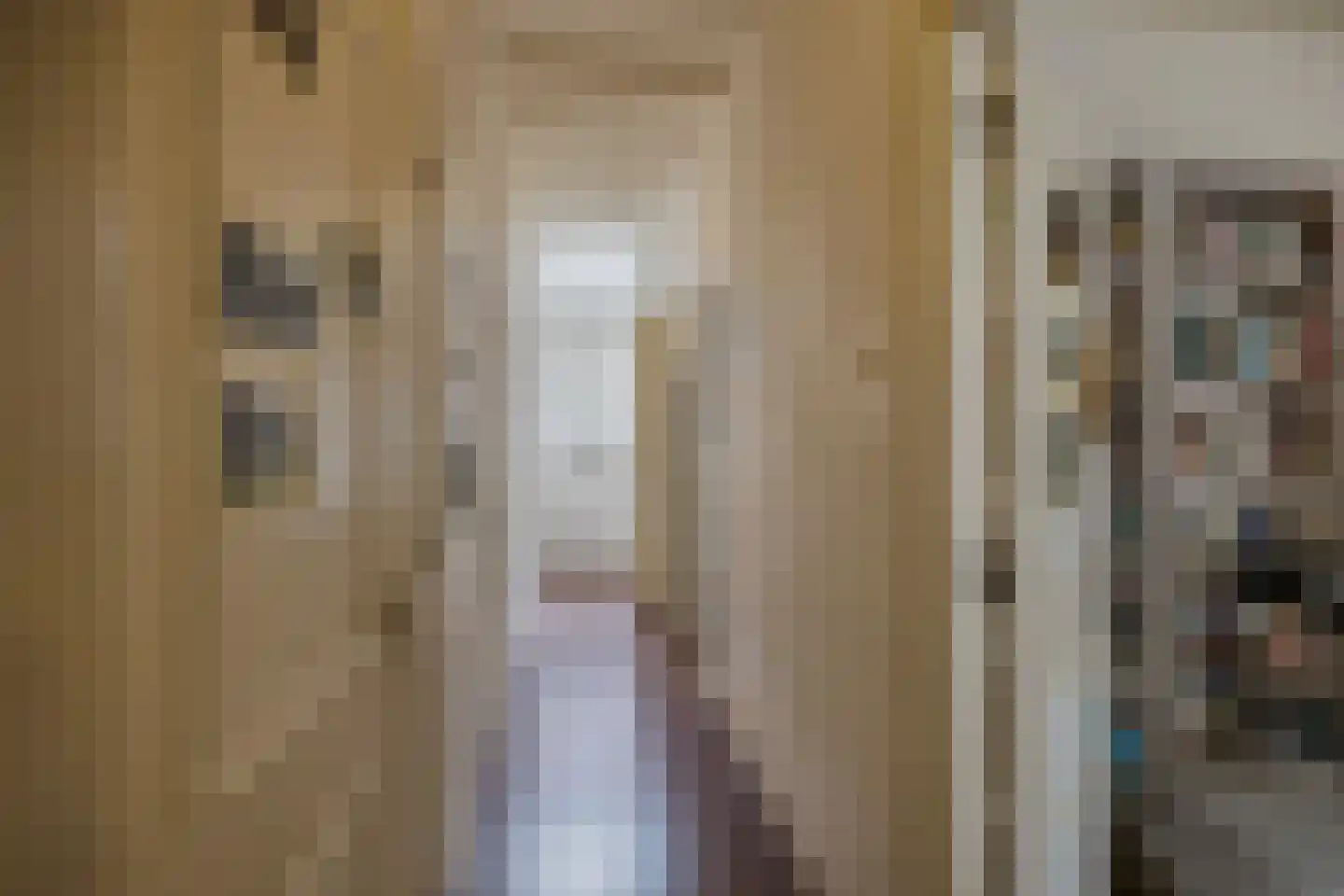 Esschilderstraat 36 ZW Haarlem thumbnail 9