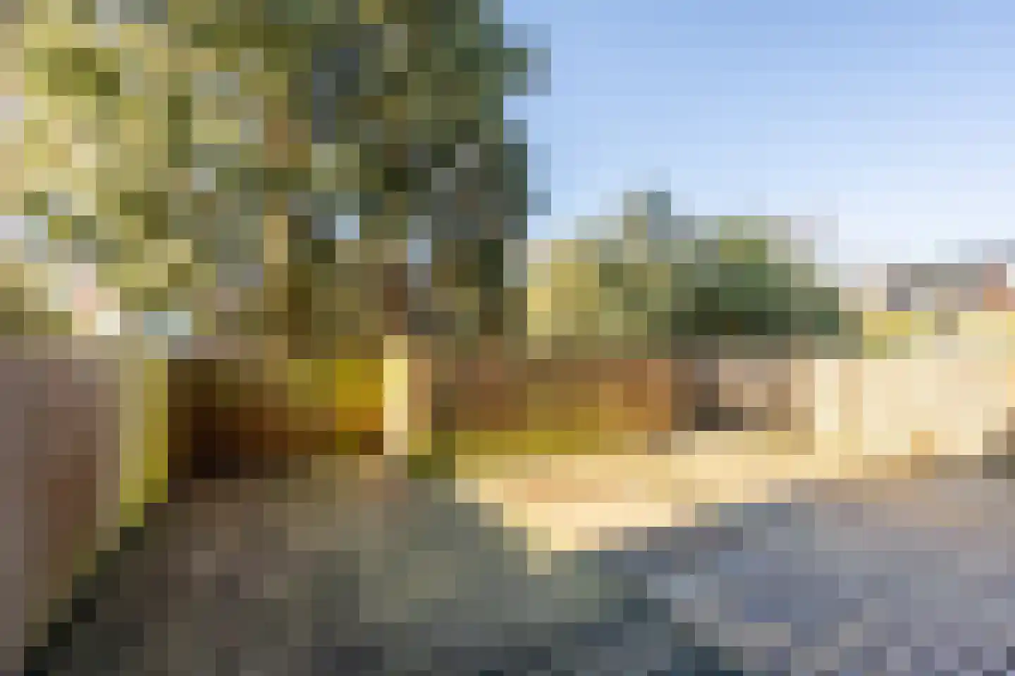 Esschilderstraat 38 Haarlem thumbnail 16