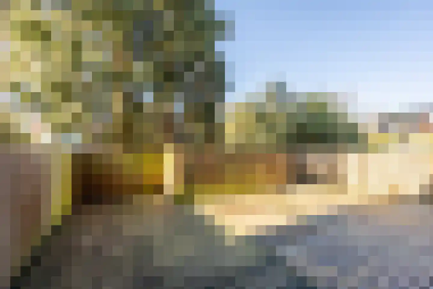 Esschilderstraat 38 Haarlem thumbnail 16