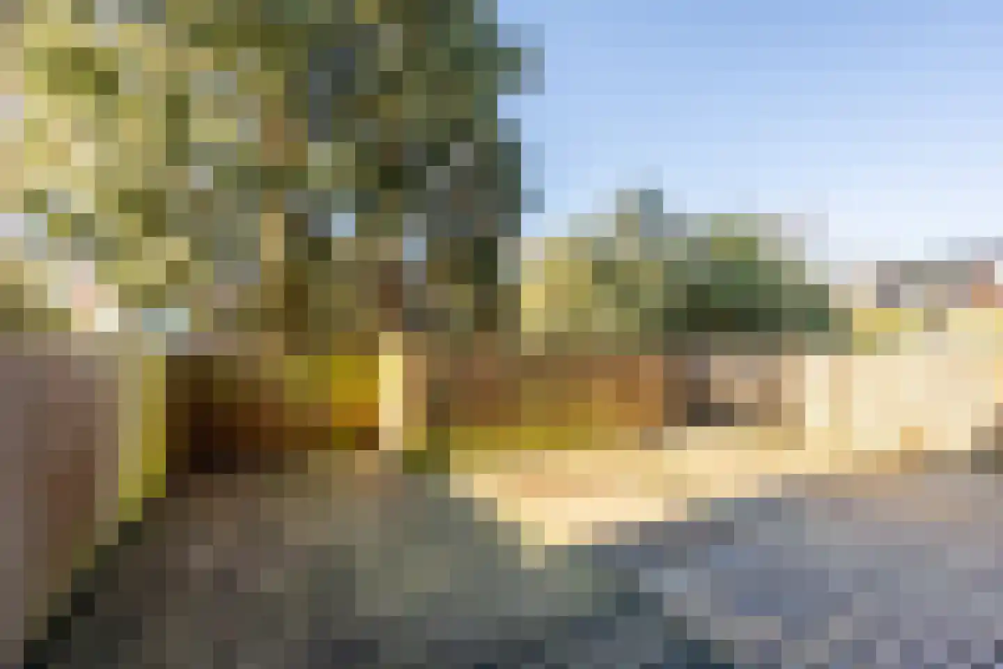 Esschilderstraat 38 Haarlem thumbnail 16