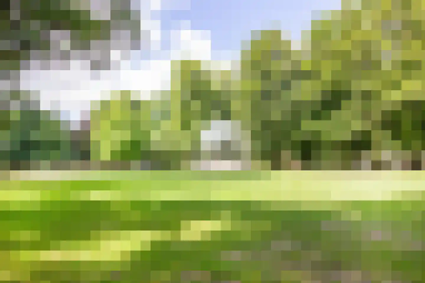 Esschilderstraat 38 Haarlem thumbnail 23