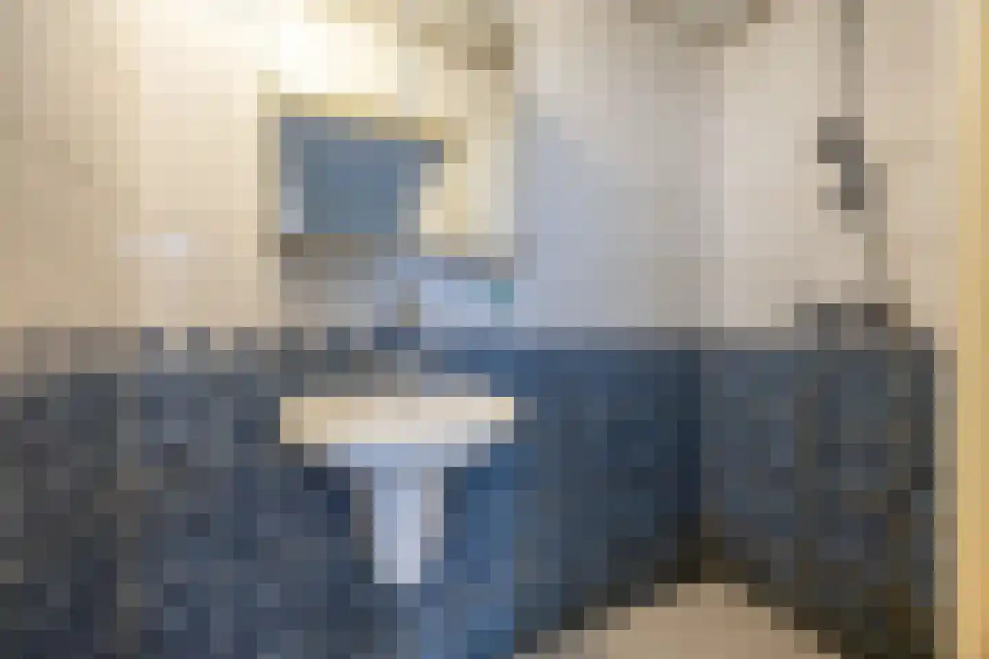 Esschilderstraat 38 Haarlem thumbnail 8