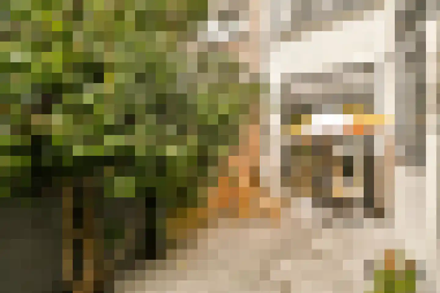 Esschilderstraat 9 Haarlem thumbnail 17
