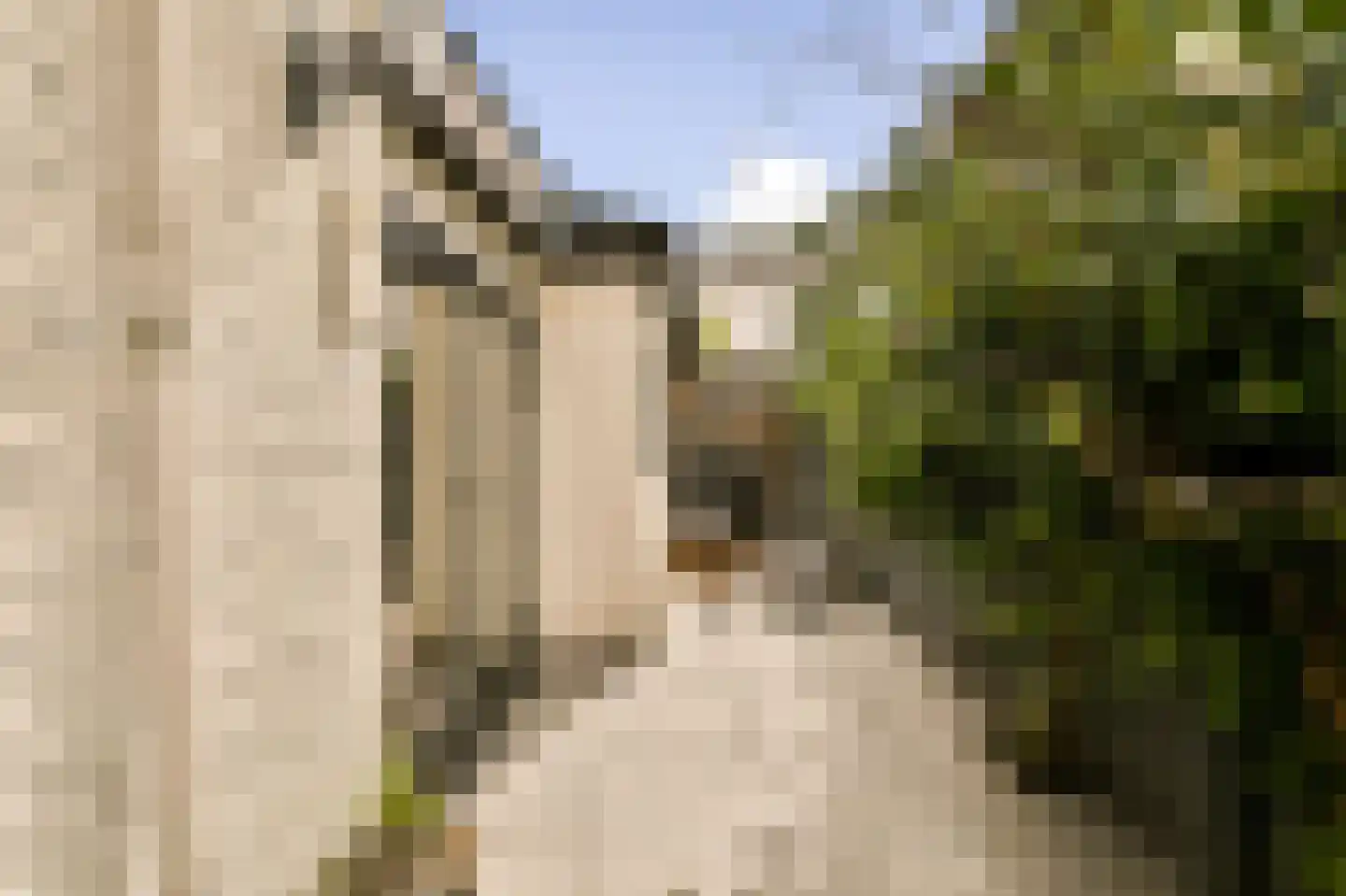 Esschilderstraat 9 Haarlem thumbnail 18