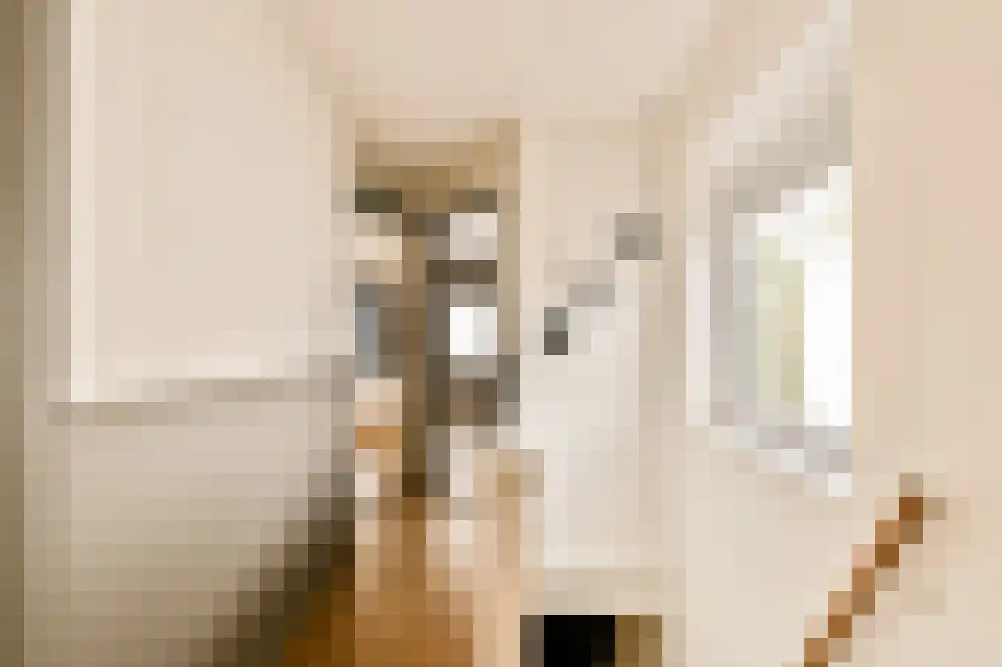 Esschilderstraat 9 Haarlem thumbnail 20