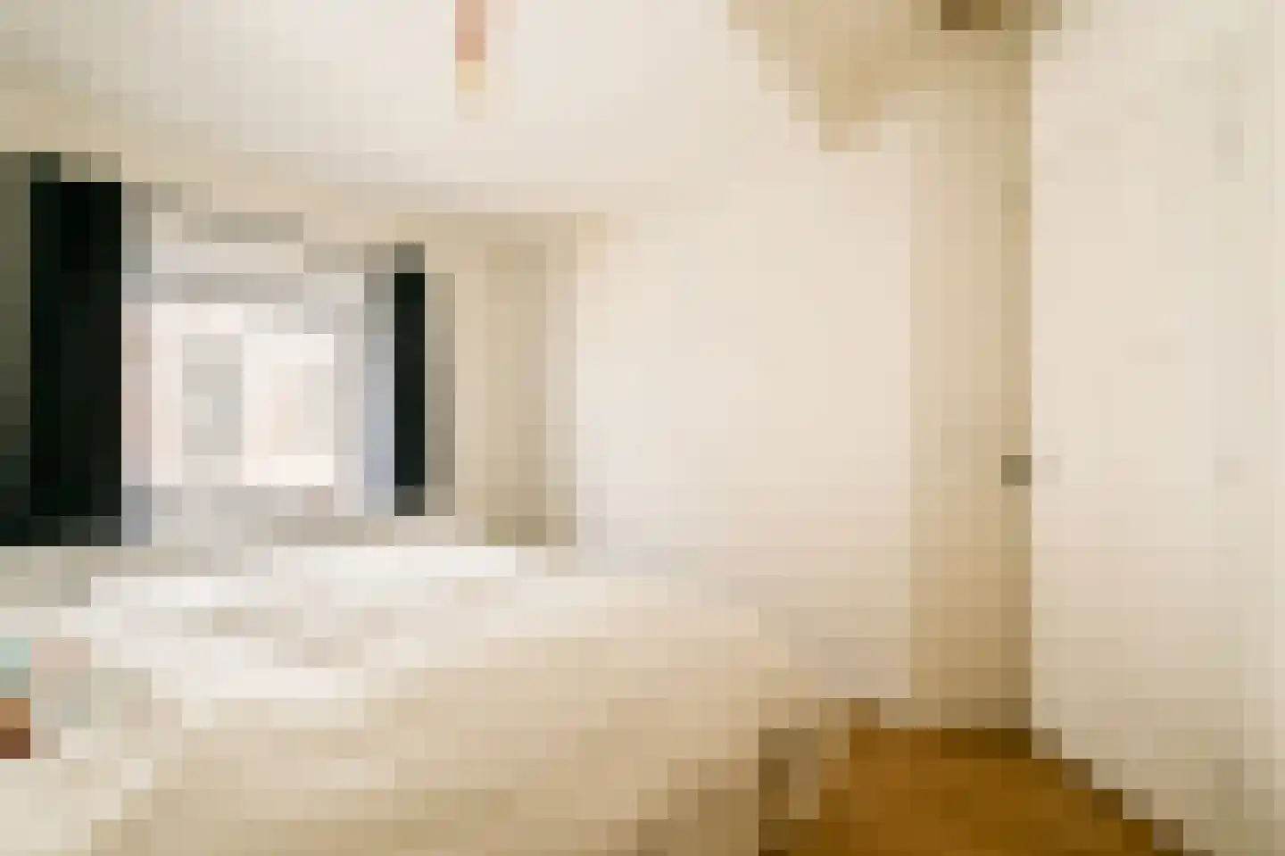 Esschilderstraat 9 Haarlem thumbnail 22