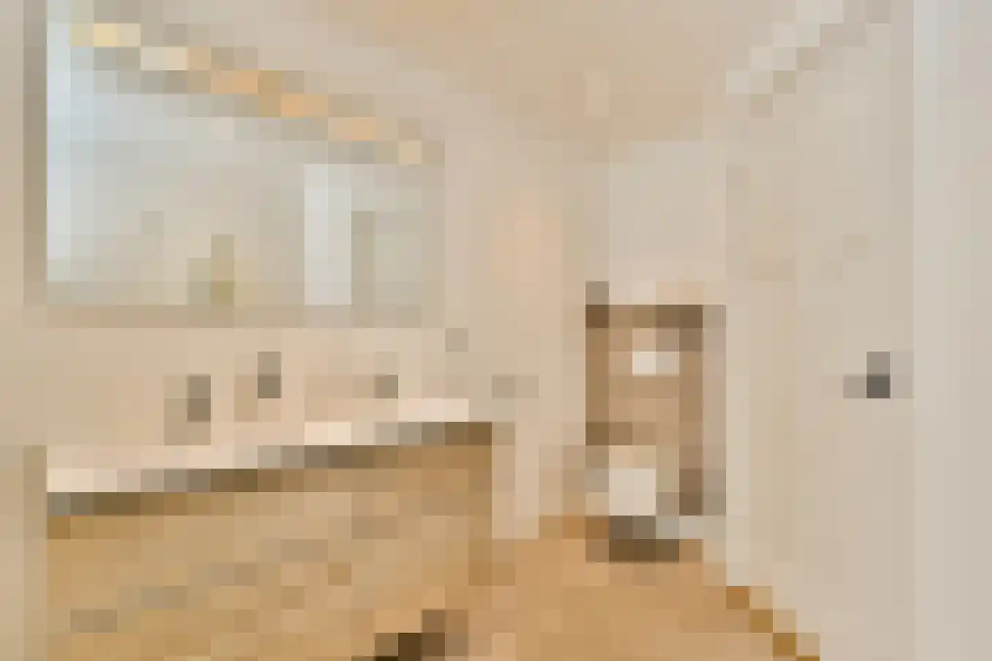 Esschilderstraat 9 Haarlem thumbnail 24