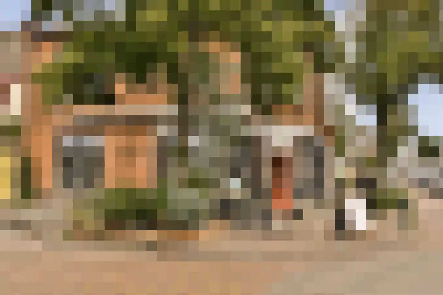 Esschilderstraat 9 Haarlem thumbnail 31