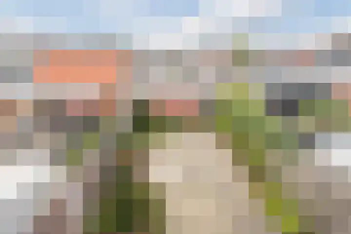 Esschingstraat 17 Dalfsen thumbnail 29