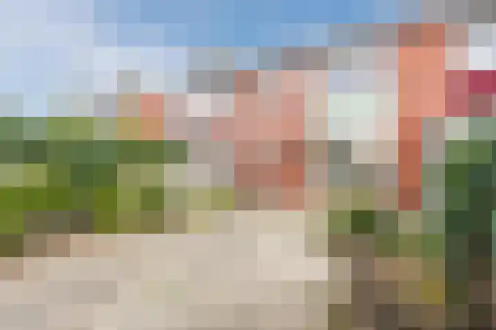 Esschingstraat 17 Dalfsen thumbnail 33