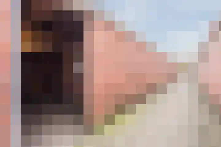 Esschingstraat 17 Dalfsen thumbnail 37