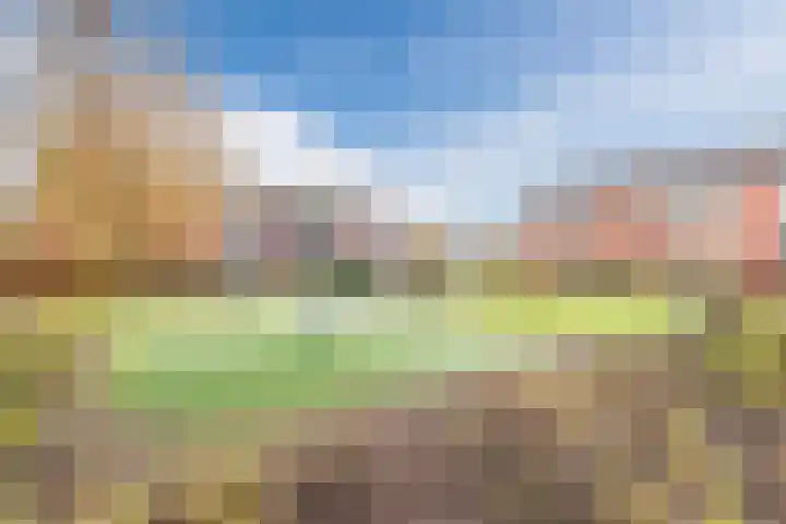 Esschingstraat 17 Dalfsen thumbnail 39